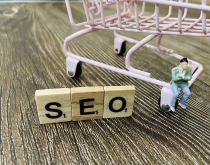 How do you set your SEO budget for your online store